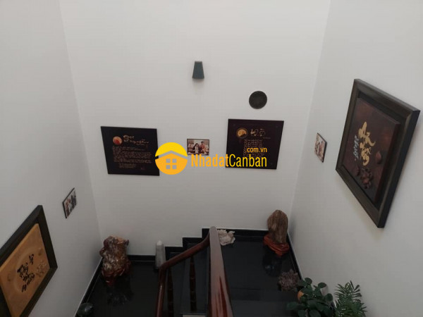 8223837_yOL6qpWhij_1636186269.jpg