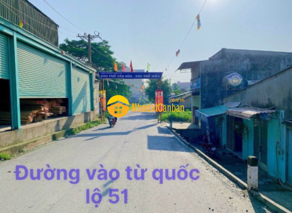 8228777_XcNDLY3myo_1636429953.jpg