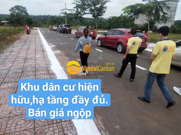 m_BNM1FApSv0_1636441900.jpg