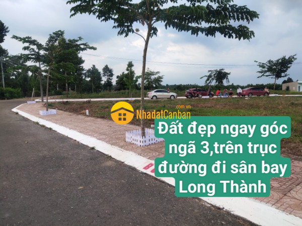 m_RMGenwZ4d9_1636688586.jpg
