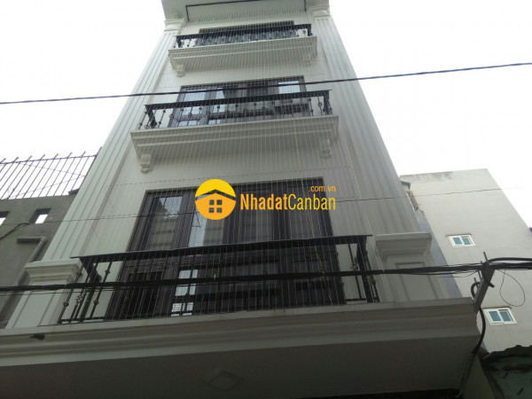 8270723_MeC0YLbouz_1638194062.jpg
