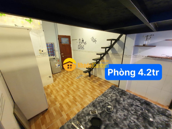 8287737_0DU3YL2zsa_1638925867.jpg