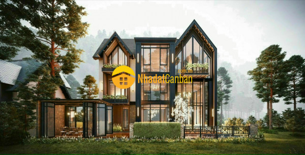 8290526_AkCFaKejYR_1639015298.jpg