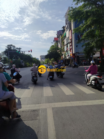 m_41xfimGpKS_1639553704.jpg
