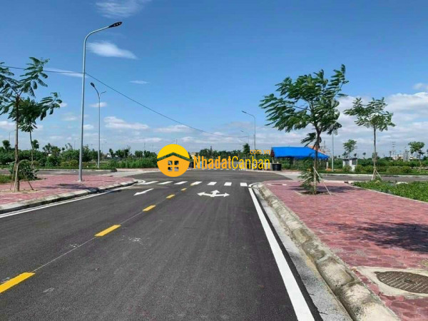 8316982_oY7EAKQTJa_1640103602.jpg