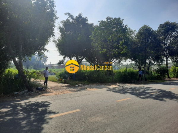m_HRDEYdipUh_1640852549.jpg