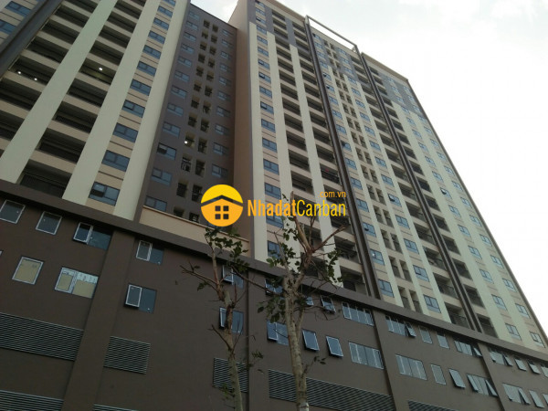 m_W6Smpv8qFI_1641438276.jpg
