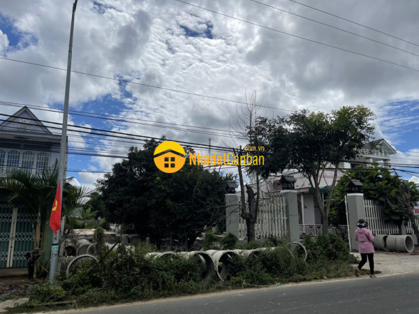 8406704_4uexNw1Dao_1645669498.jpg