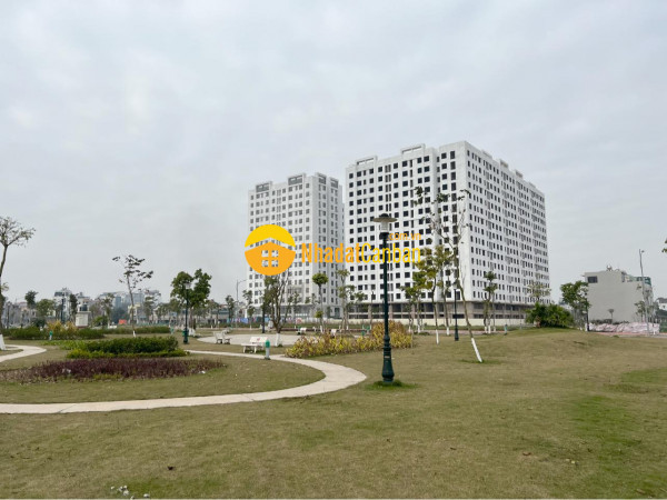 8413002_OnfEHk8mBJ_1645972510.jpg
