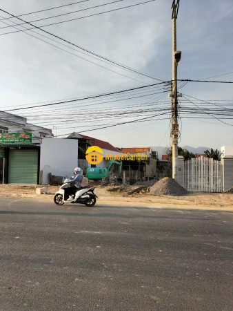 8443216_X1qYnJjzAo_1647309698.jpg