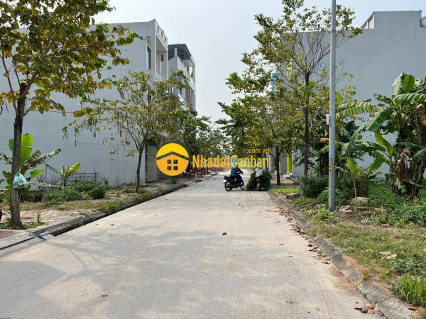 8444157_MvbIjaWfkT_1647351509.jpg