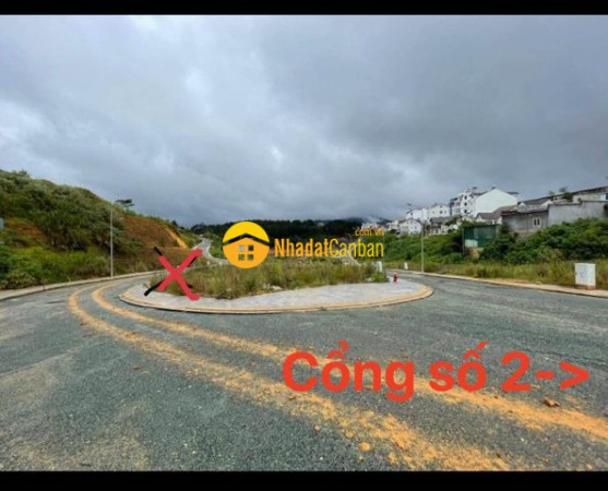 8445166_HNa1svZAIz_1647415729.jpg