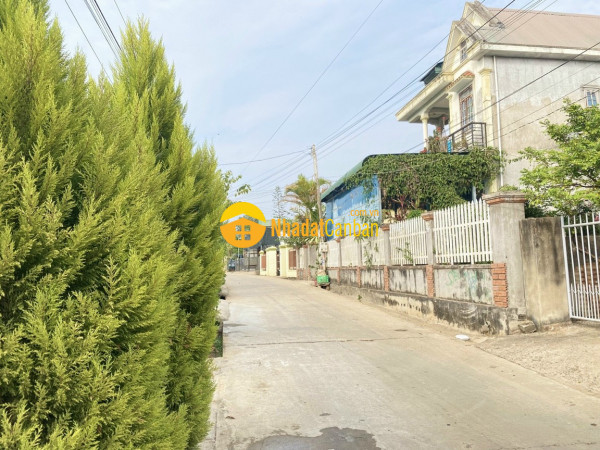 m_yzhicU5QTp_1647850660.jpg