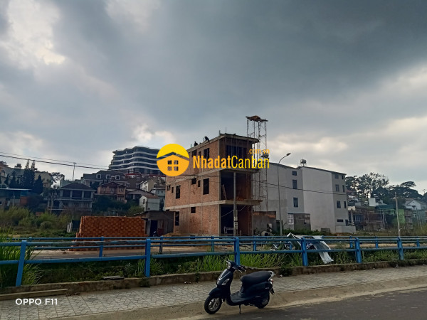 8464393_ZoDPHpur3q_1647921165.jpg
