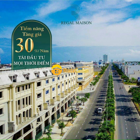8471168_AwbVq3akfI_1648086448.jpg