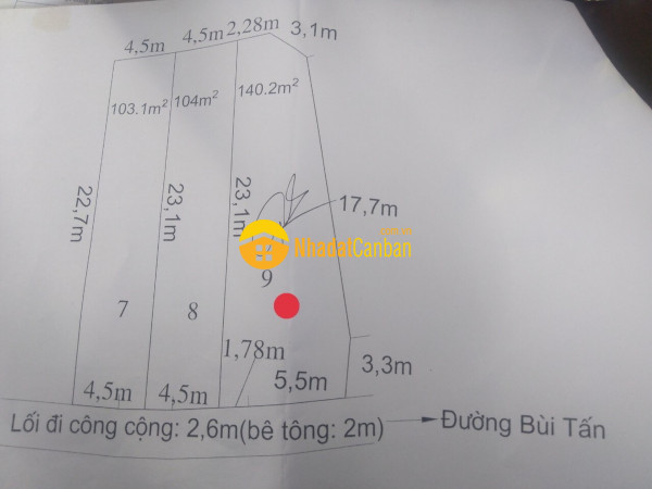 m_rTmq804Pxy_1648282181.jpg