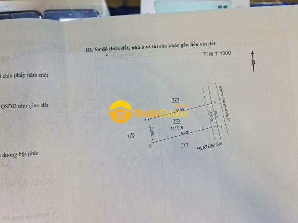m_oq5XDwgOhV_1648694624.jpg