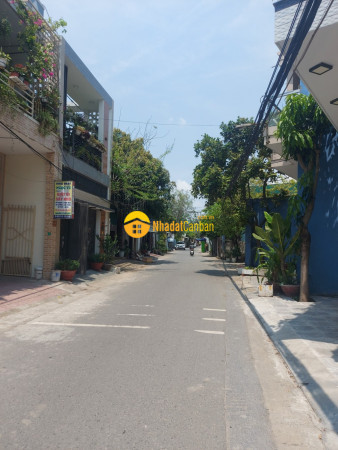 8545438_laZ28cM6Xm_1650357414.jpg