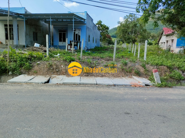 8546920_Vx0EUNhuWr_1650420072.jpg