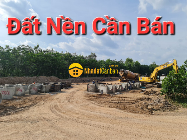 8549759_indO6QbfoN_1650505262.jpg