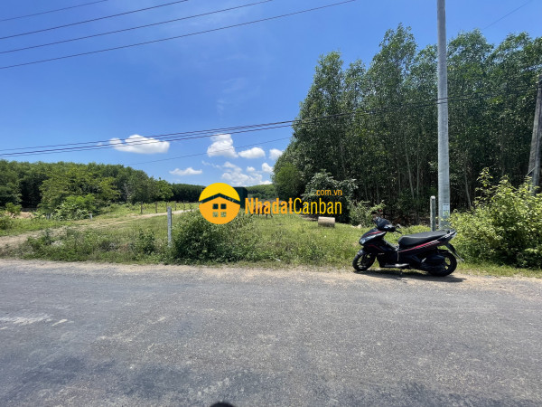 m_Bei8oHOgRV_1651972230.jpg
