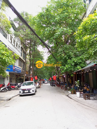8607521_Sdn0pTaOPi_1652487784.jpg