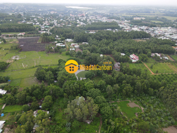 m_lGzvdBy9Sf_1653448501.jpg