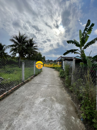 8656361_0nlJXP36ph_1654221638.jpg