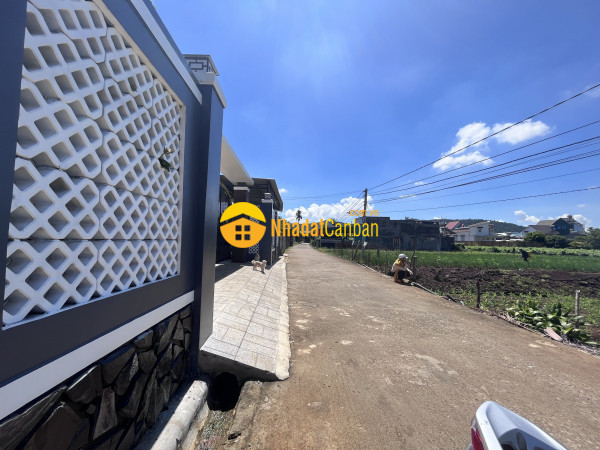 m_fkI897EXbi_1655189052.jpg