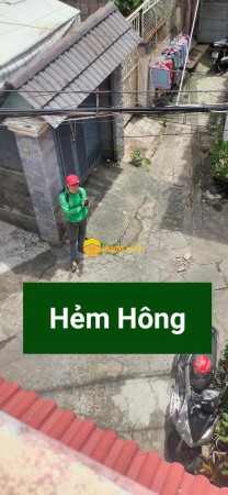 8717825_Lerunp4htd_1656650680.jpg