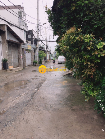 8763109_NrH0EuZXax_1658532037.jpeg