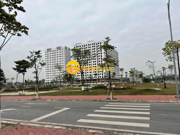 8772055_kUiLTjyeKW_1658942600.jpg