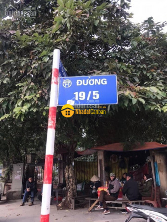 m_GzLoydIsOc_1659771417.jpeg