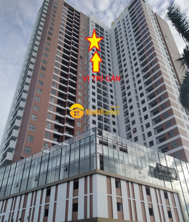 8859966_qc5HSnLWyr_1662815969.jpg