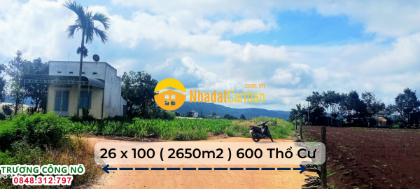 m_QR4IZ3SzTq_1663037465.png