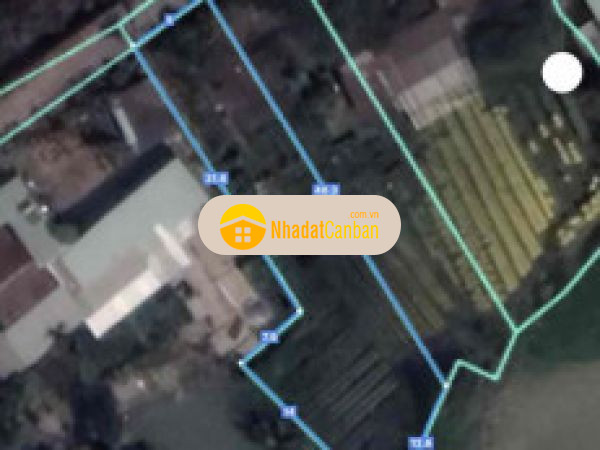 987621561663401216.jpg