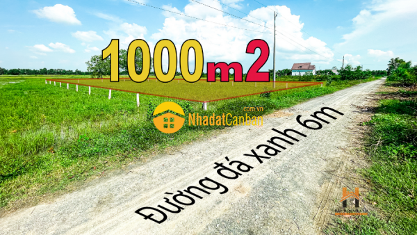 m_xZ3eKi5mG1_1663398095.png