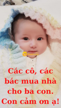 8880120_Pn90gMhojS_1663683682.jpg