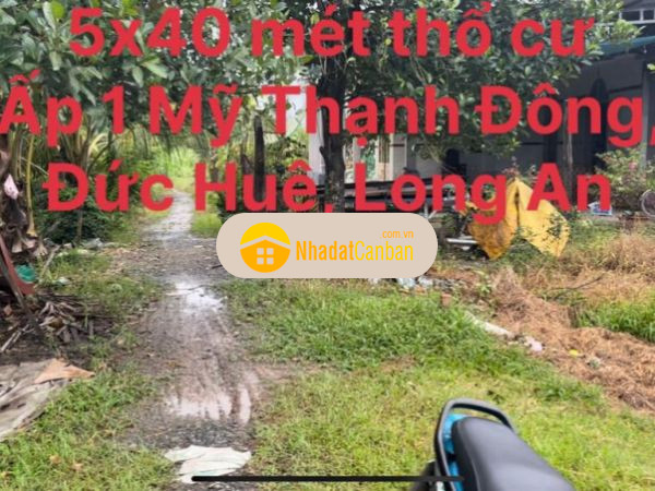 994314561664318552.jpg
