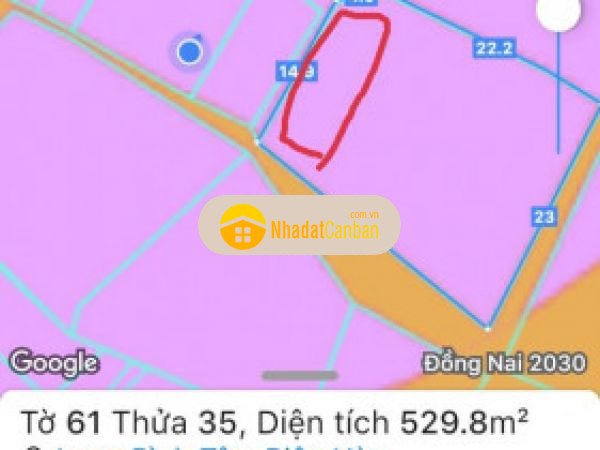 995459831664594715.jpg