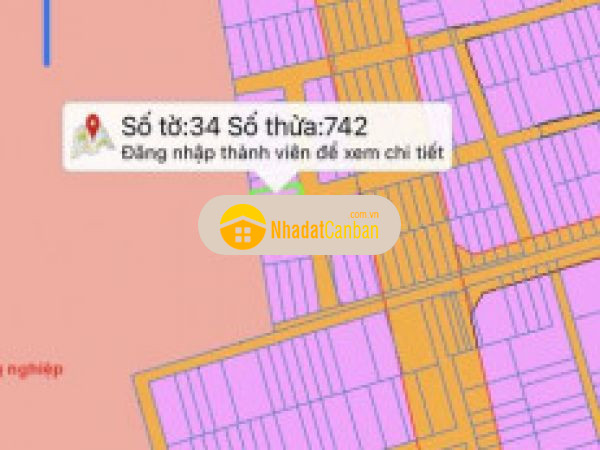 995958421664728231.jpg