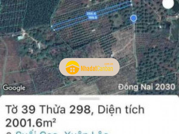 996514261664901885.jpg