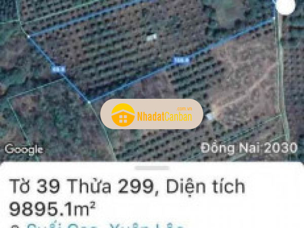 996514261664901886.jpg