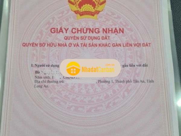 996535941664874146.jpg