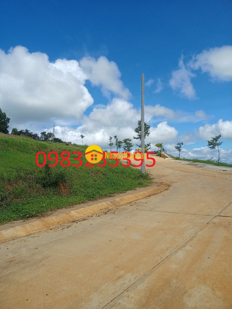 8915469_N2XeY1fCwb_1665117322.jpg