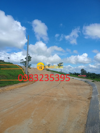 8915501_8zTOaESdKj_1665118174.jpg