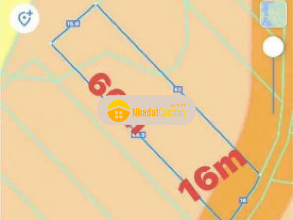 997637611665117699.jpg