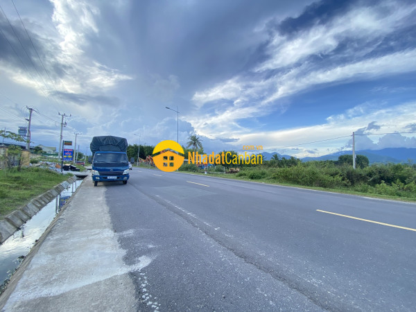 m_ZvIV3GWetR_1665122949.jpg