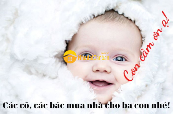 8917775_HNzEm1SL0b_1665240159.jpg