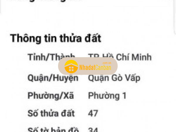 997957841665195469.jpg